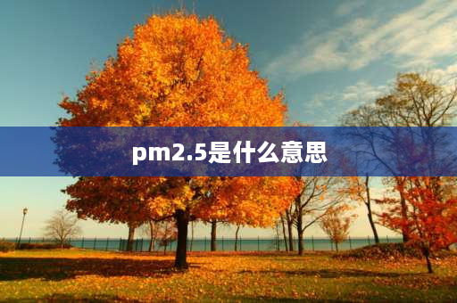 pm2.5是什么意思 pm2.5是什么意思正常值？