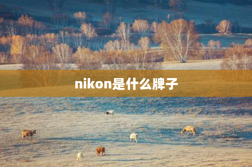 nikon是什么牌子 nikon鞋是什么牌子？