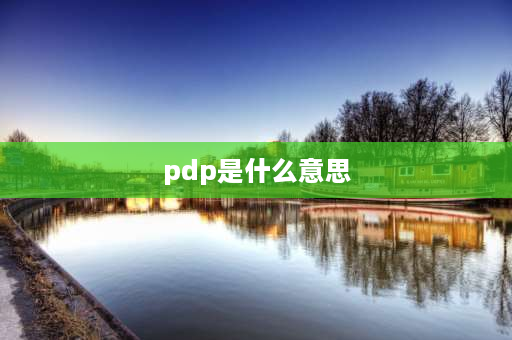 pdp是什么意思 物流pic和pdp是什么意思？