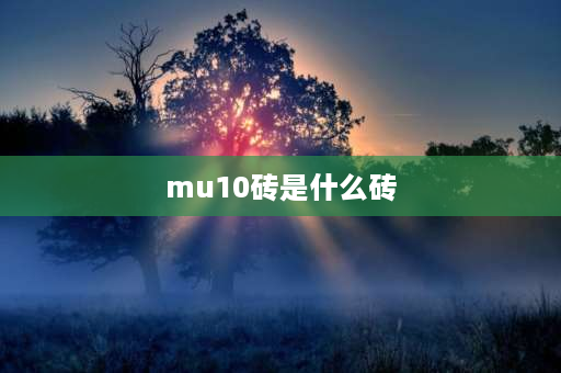 mu10砖是什么砖 MU10砖是小砖还是多孔砖？