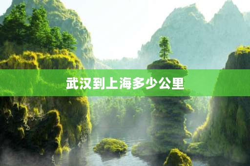 武汉到上海多少公里 武汉巿区和上海市区哪个面积大些？