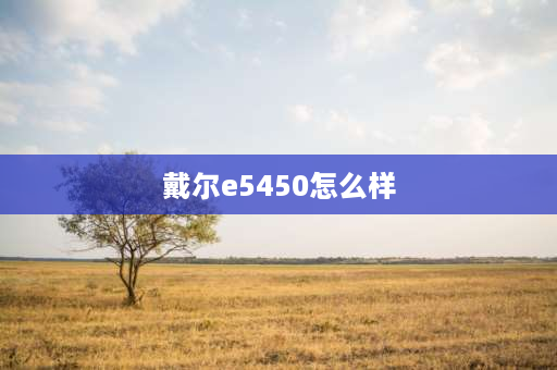 戴尔e5450怎么样 e5450能玩什么游戏？