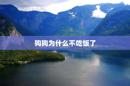 狗狗为什么不吃饭了 狗老了不吃饭怎么回事？