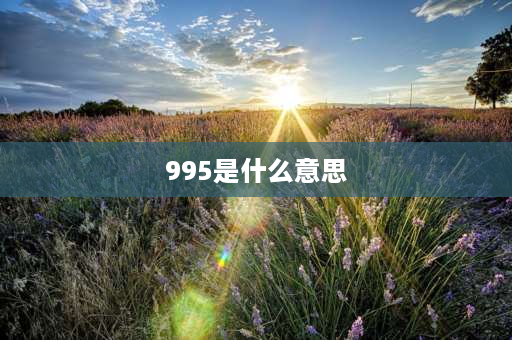 995是什么意思 黄金995什么意思？