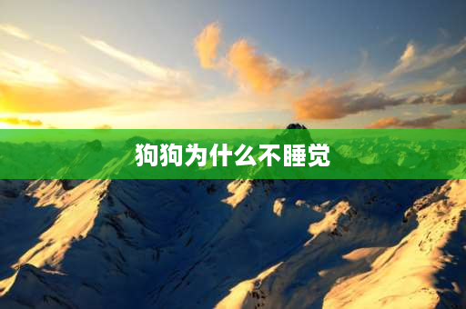 狗狗为什么不睡觉 我家狗狗为什么成天到晚都在睡觉？它真的很累么？