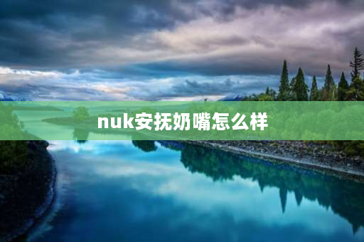 nuk安抚奶嘴怎么样 NUK品牌好吗？