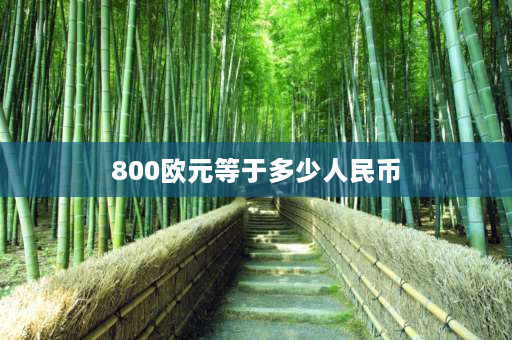 800欧元等于多少人民币 800元整大写怎么写？