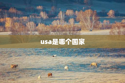 usa是哪个国家 usa是哪个国家建筑物？