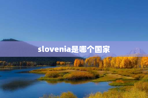 slovenia是哪个国家 s打头的国家简写？