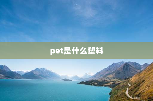 pet是什么塑料 PET是什么塑料？