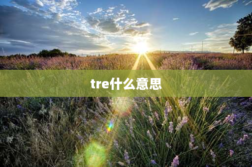 tre什么意思 TRE是什么意思？