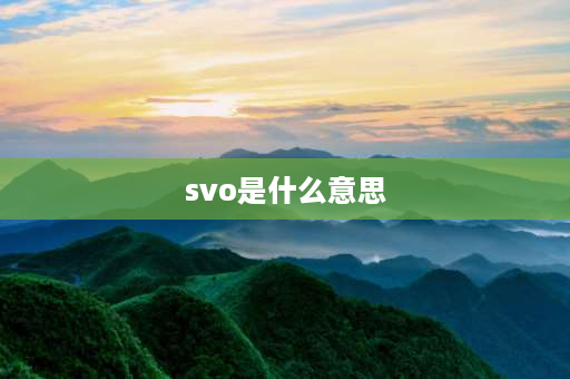 svo是什么意思 汉语的语序？