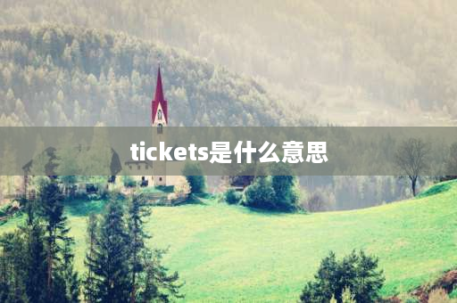 tickets是什么意思 purchased 什么词性？