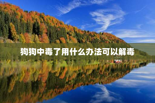 狗狗中毒了用什么办法可以解毒 请问狗狗吃错东西中毒了，有什么办法可以尽快解毒？