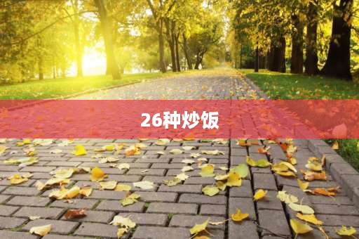 26种炒饭 俄罗斯炒饭做法？