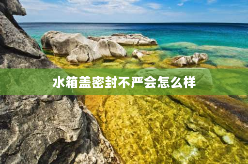 水箱盖密封不严会怎么样 水箱盖反水是什么原因？