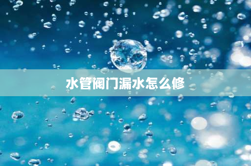 水管阀门漏水怎么修 出水阀漏水怎么修？