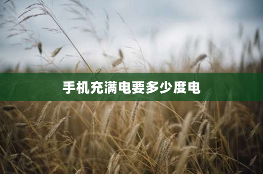 手机充满电要多少度电 手机充满电100一下子就99了是怎么回事？