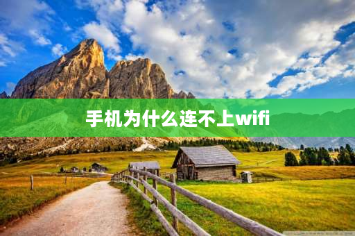 手机为什么连不上wifi 手机突然连不wifi是怎么回事？