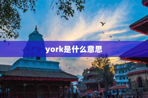 york是什么意思 纽约标志缩写？