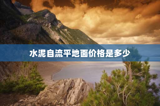 水泥自流平地面价格是多少 自流平包工包料1平方多少钱？