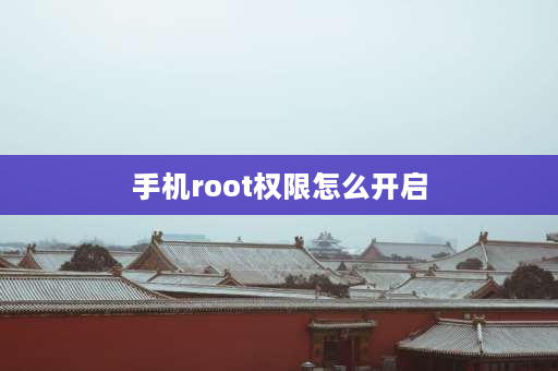 手机root权限怎么开启 手机root权限怎么开？