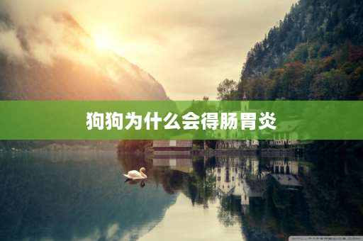 狗狗为什么会得肠胃炎 狗狗的了肠胃炎,给他吃药马上就吐,怎么办啊？