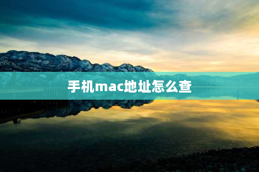 手机mac地址怎么查 怎么获取手机的MAC地址？