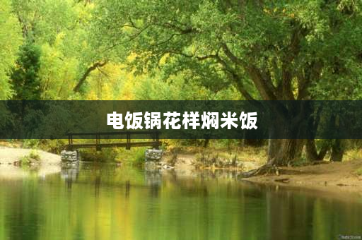 电饭锅花样焖米饭 电饭锅焖饭的19种做法？