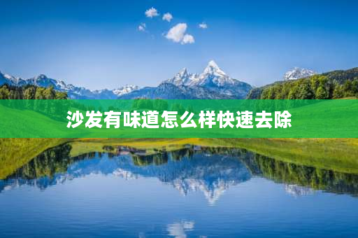 沙发有味道怎么样快速去除 沙发上胶的味道怎样快速去除？