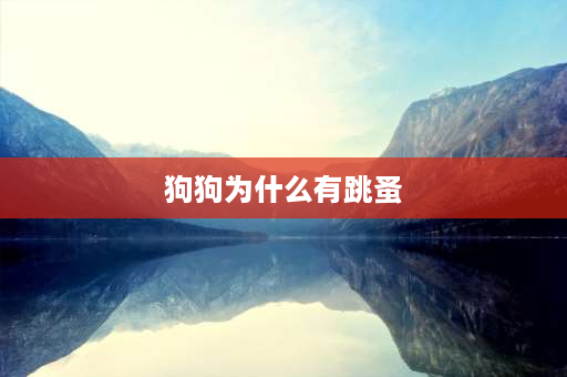 狗狗为什么有跳蚤 我家的狗狗经常给它洗澡都有跳蚤的是怎么回事？