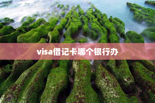 visa借记卡哪个银行办 哪些银行有visa借记卡？