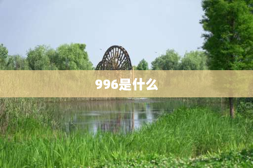 996是什么 996生活是什么意思？