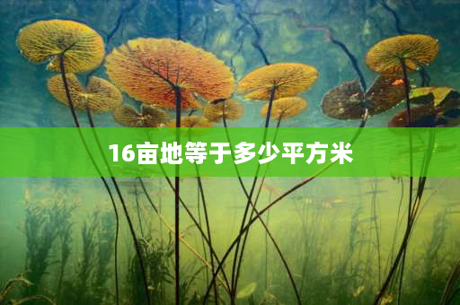 16亩地等于多少平方米 16亩地能盖几栋楼？