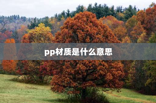 pp材质是什么意思 pp材质是什么？