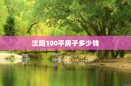 沈阳100平房子多少钱 沈阳灵活就业百分之百交15年退休能开多少钱？