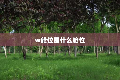 w舱位是什么舱位 飞机经济舱u舱w舱区别？