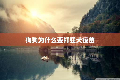 狗狗为什么要打狂犬疫苗 如果把预防狂犬病的药加到狗粮里喂狗有用吗？