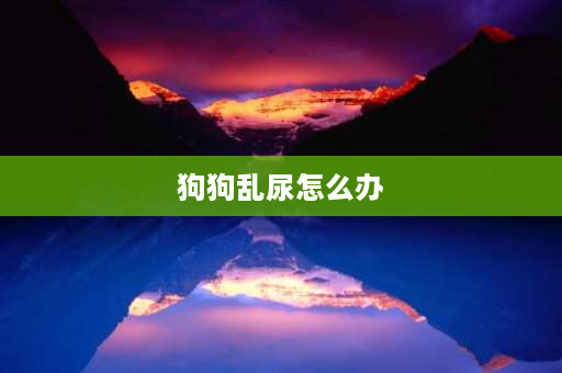 狗狗乱尿怎么办 法斗乱拉乱尿怎么办？