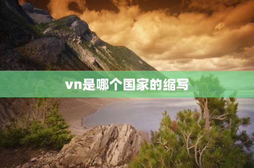 vn是哪个国家的缩写 lolid和vn有什么区别？