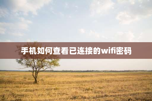 手机如何查看已连接的wifi密码 手机如何查看已连接wifi的密码？