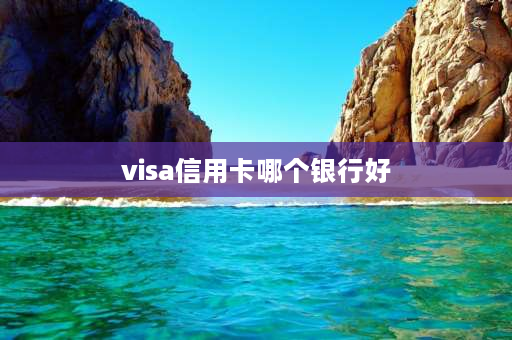 visa信用卡哪个银行好 全币种visa卡哪家最好？