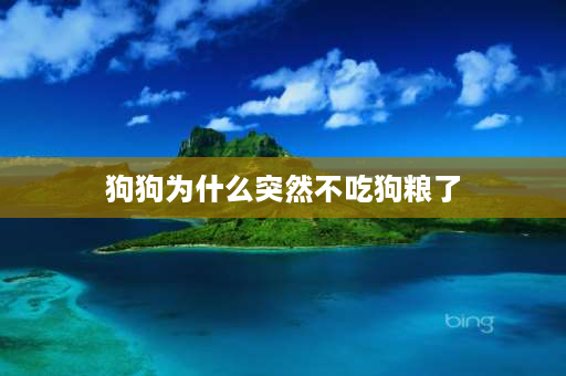 狗狗为什么突然不吃狗粮了 狗狗为什么不喜欢吃狗粮？