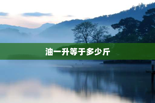 油一升等于多少斤 一升等于多少斤食用油公式？