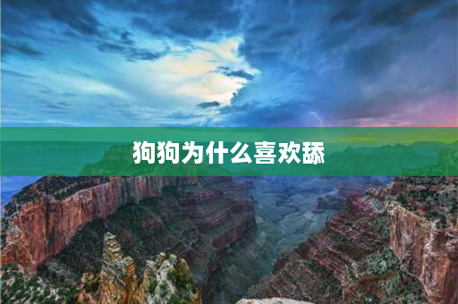 狗狗为什么喜欢舔 狗狗一直频繁的舔舌头是怎么回事儿？