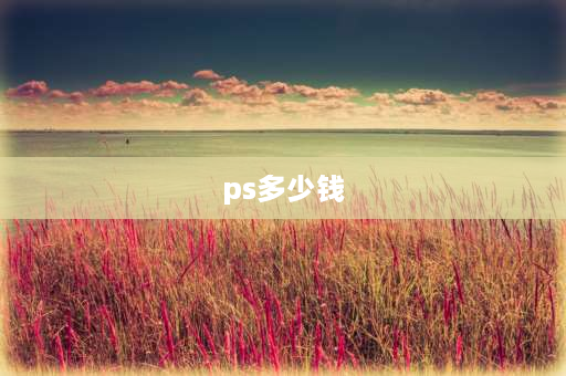 ps多少钱 psn会员多少钱？