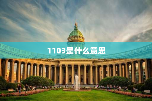 1103是什么意思 请正确填写院校代号是什么意思？