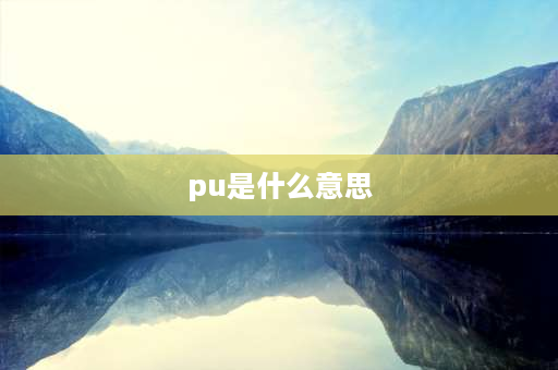 pu是什么意思 pu是什么意思？