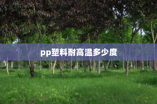 pp塑料耐高温多少度 pp多少可以耐高温？