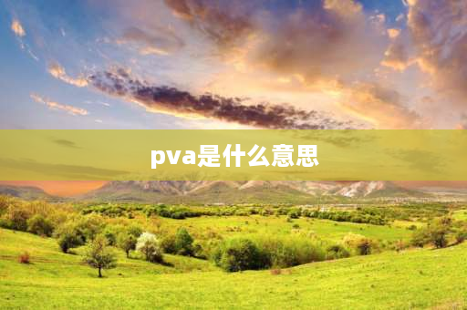 pva是什么意思 什么是PVA？